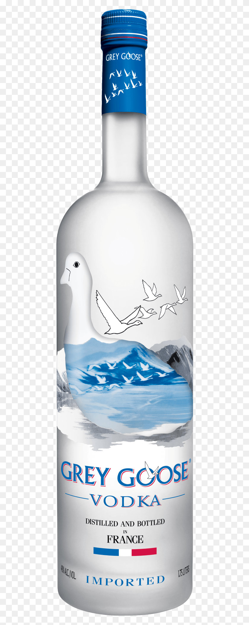 464x2048 Descargar Png Gray Goose Original Grey Goose Vodka Botella De Alta Resolución, Animal, Pájaro Hd Png