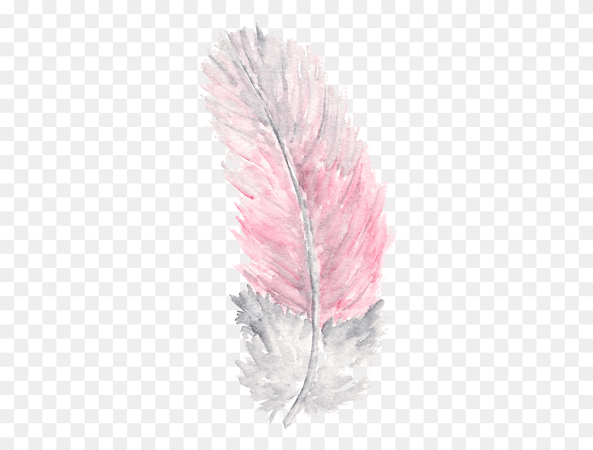 286x578 Grey Wallpaper Phone Cellphone Wallpaper Pink And Transparent Background Pink Feather, Leaf, Plant, Bird HD PNG Download