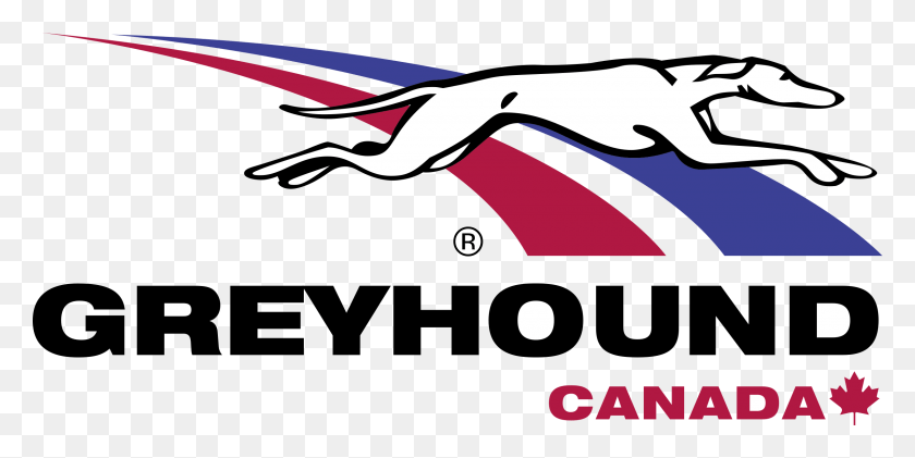 2400x1111 Greyhound Canada 2 Logo Transparent Greyhound Canada, Graphics, Clothing HD PNG Download