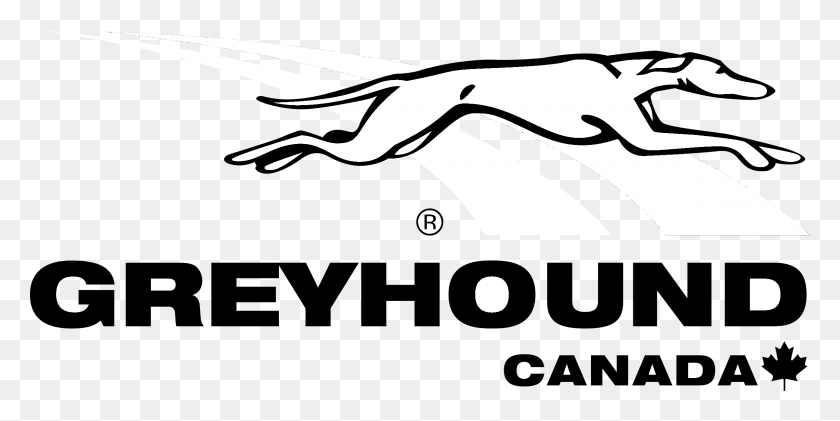 2400x1111 Descargar Png Greyhound Canada Logo Arte Lineal Blanco Y Negro, Stencil, Outdoors Hd Png