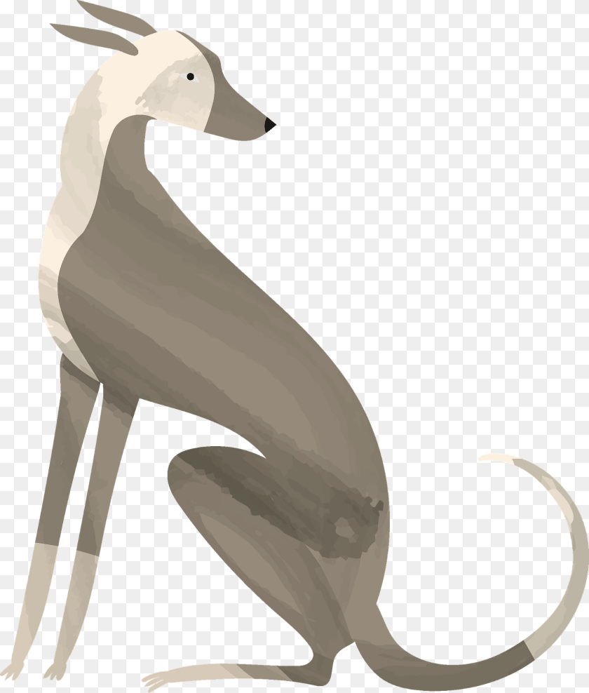 1632x1920 Greyhound Clipart, Animal PNG