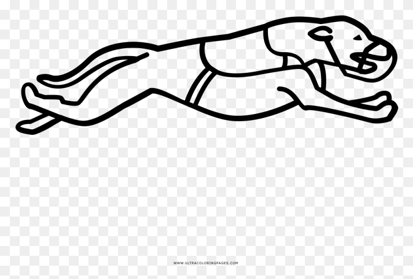 983x640 Greyhound Coloring, Gray, World Of Warcraft HD PNG Download