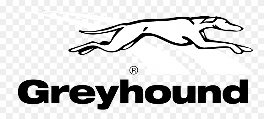 2400x984 Greyhound Logo Transparent Background Greyhound Logo, Clothing, Apparel, Stencil HD PNG Download