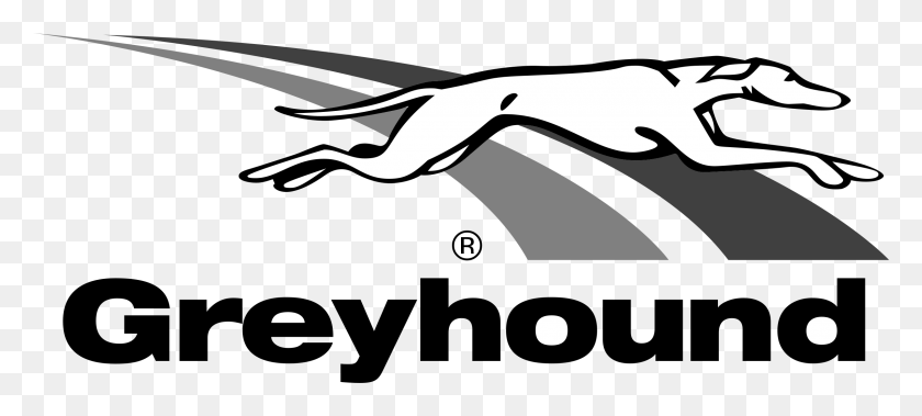 2400x984 Greyhound Logo Transparent Greyhound Logo, Clothing, Apparel HD PNG Download