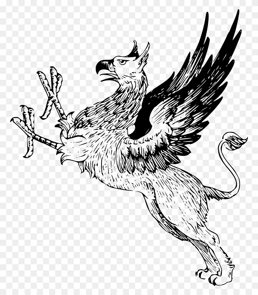 774x900 Griffin Large 900pixel Clipart Griffin Design Vintage Griffin, Gray, World Of Warcraft HD PNG Download