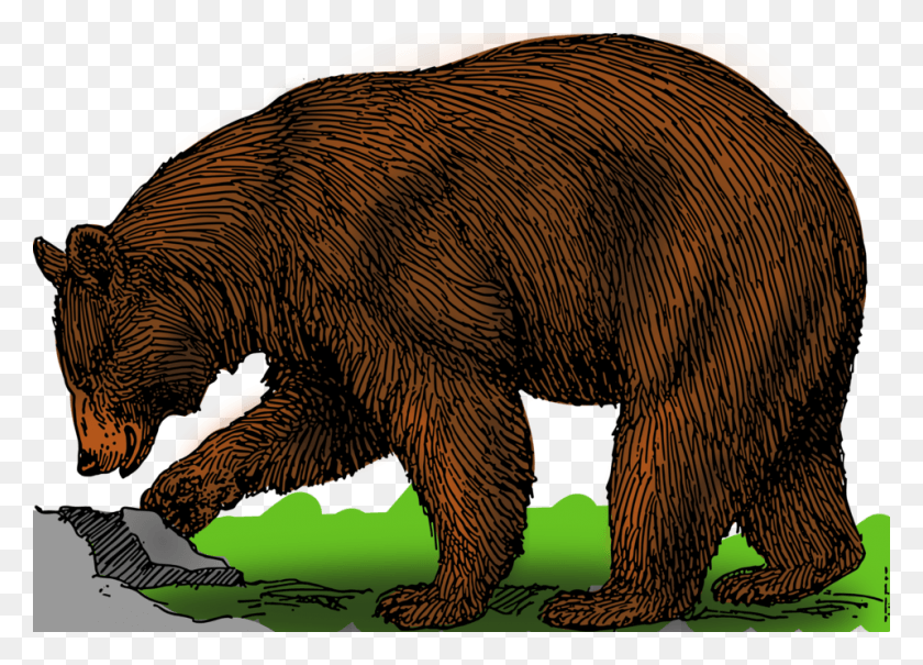 958x670 Grizzly Bear Clipart Public Domain Bear Drawing With Colour, Elephant, Wildlife, Mammal HD PNG Download