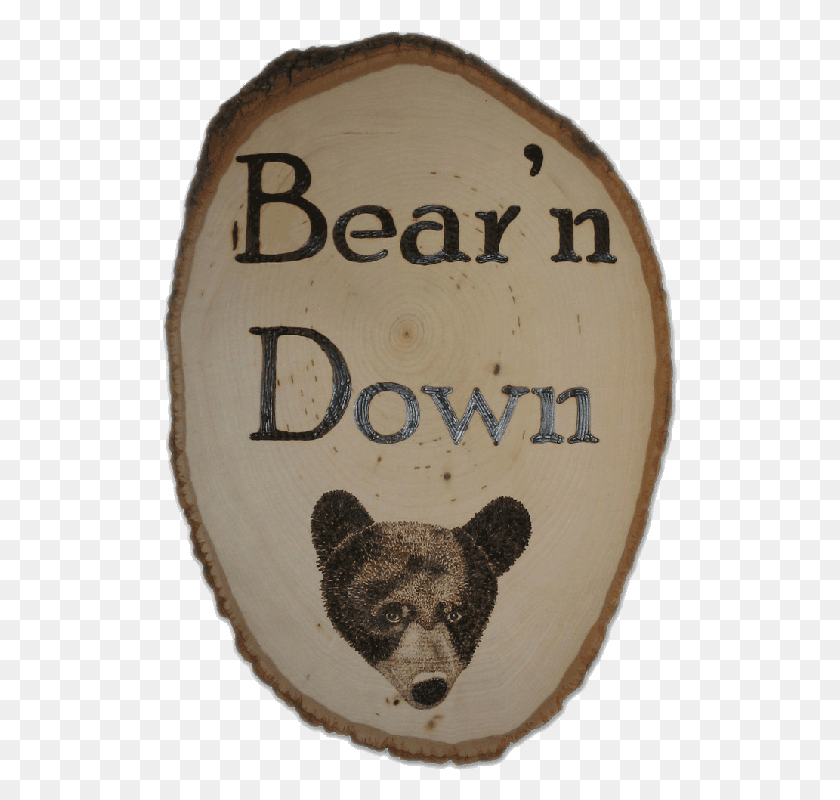 515x740 Grizzly Bear Possum, Logo, Symbol, Trademark HD PNG Download