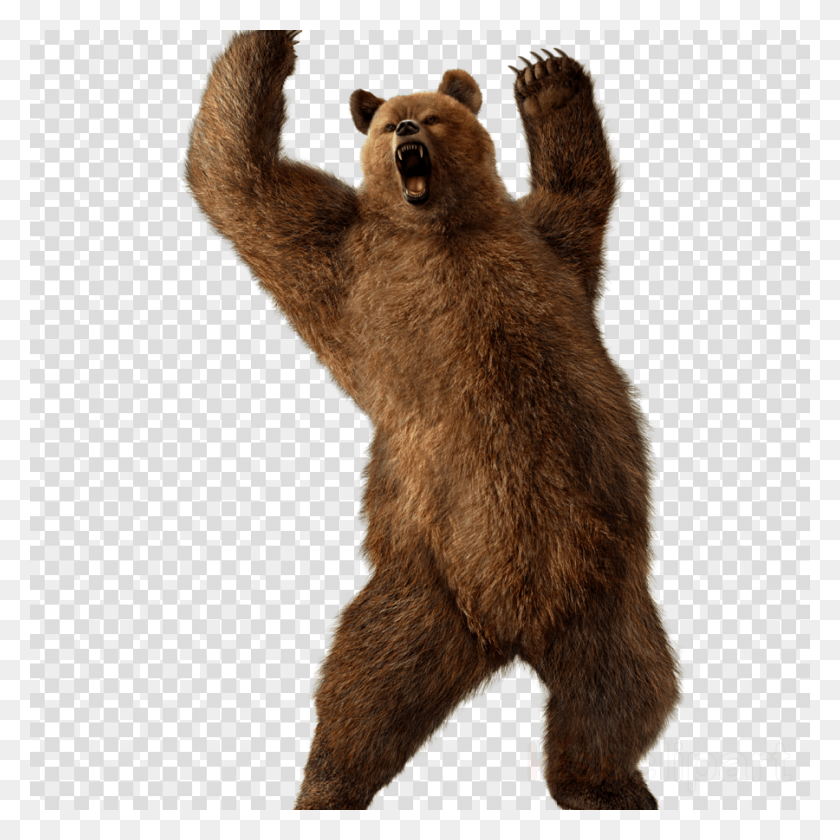 900x900 Grizzly Bear Transparent Clipart Grizzly Art Pencils Transparent, Wildlife, Animal, Bear HD PNG Download