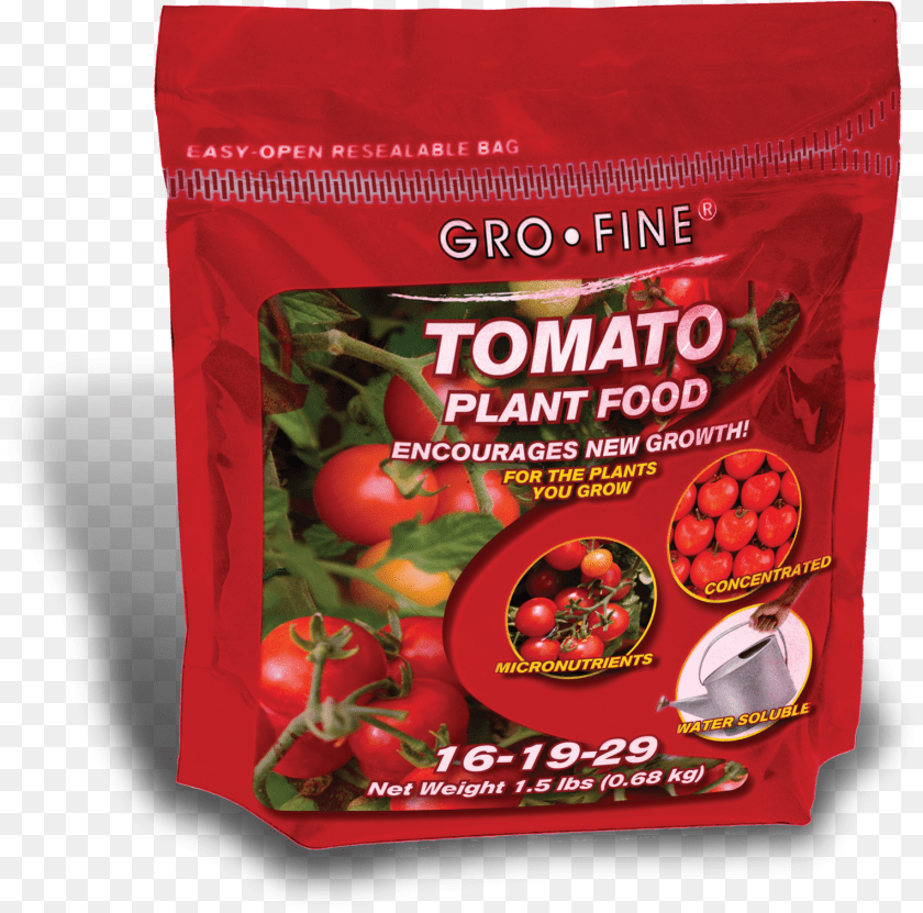 1527x1510 Gro Fine Tomato Natural Foods, Food, Ketchup, Produce, Plant Clipart PNG