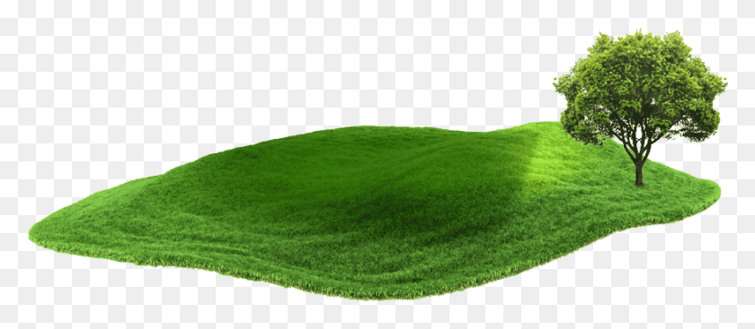 874x344 Ground Mounted Systems Tree, Grass, Plant, Lawn Descargar Hd Png