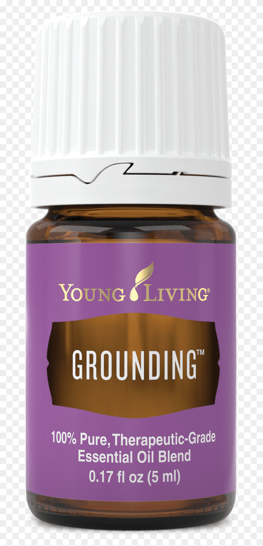685x1682 Grounding Envision Essential Oil Young Living, Plant, Beer, Alcohol HD PNG Download