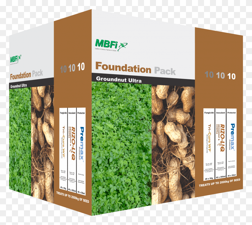 2087x1846 Groundnut 101010 Tree, Advertisement, Poster, Flyer HD PNG Download