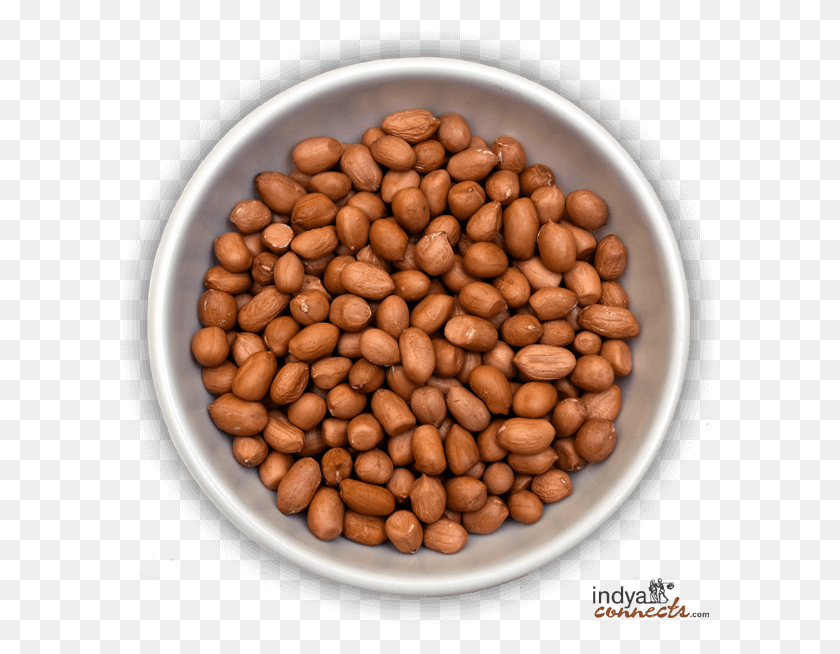 597x594 Groundnut Seed, Plant, Vegetable, Food HD PNG Download