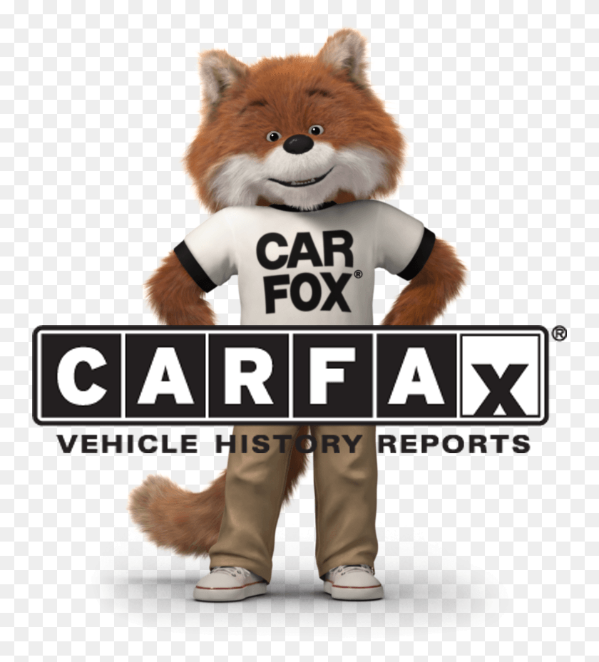 750x869 Group We Care About Our Customers And Want Only The Red Fox, Mascot, Person, Human HD PNG Download