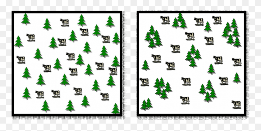 827x386 Сгруппированные Деревья Фиг 3 Деревья На Рождественской Елке, Дерево, Растение, Ковер Hd Png Скачать