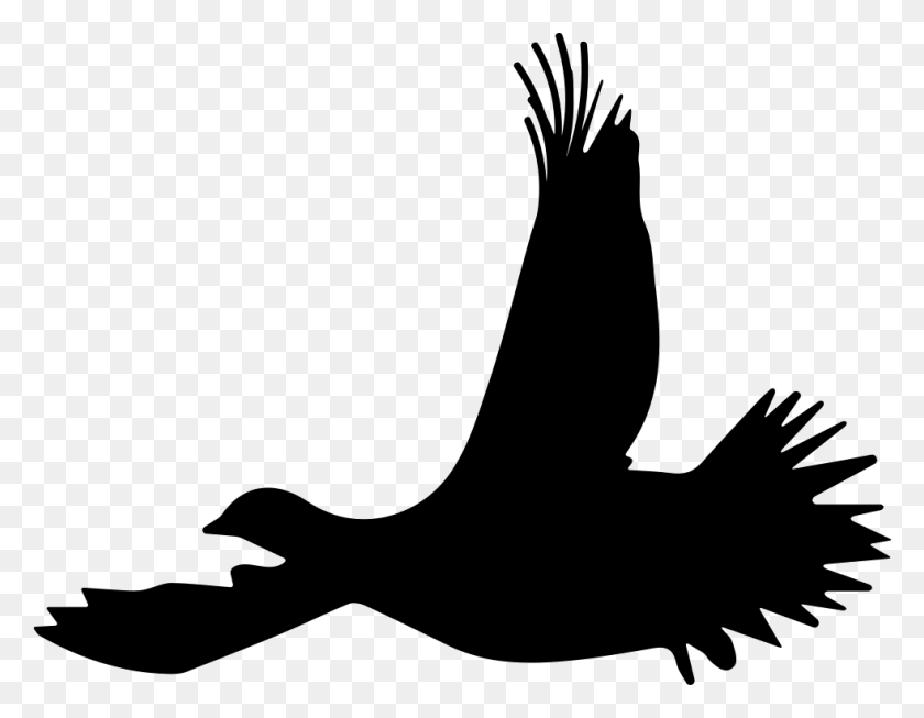 981x746 Urogallo Pájaro Volando Silueta Comentarios Pájaro Volando Dibujo, Animal, Stencil Hd Png