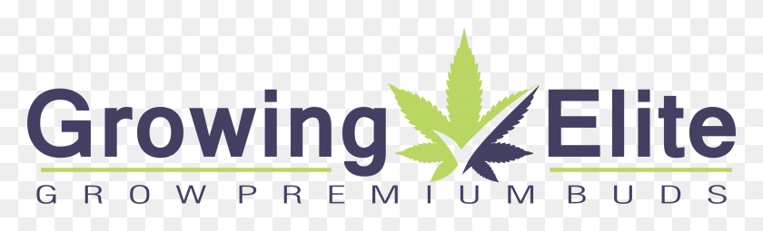 2845x712 Growing Elite Marijuana By Ryan Riley Aloe, Leaf, Plant, Symbol HD PNG Download