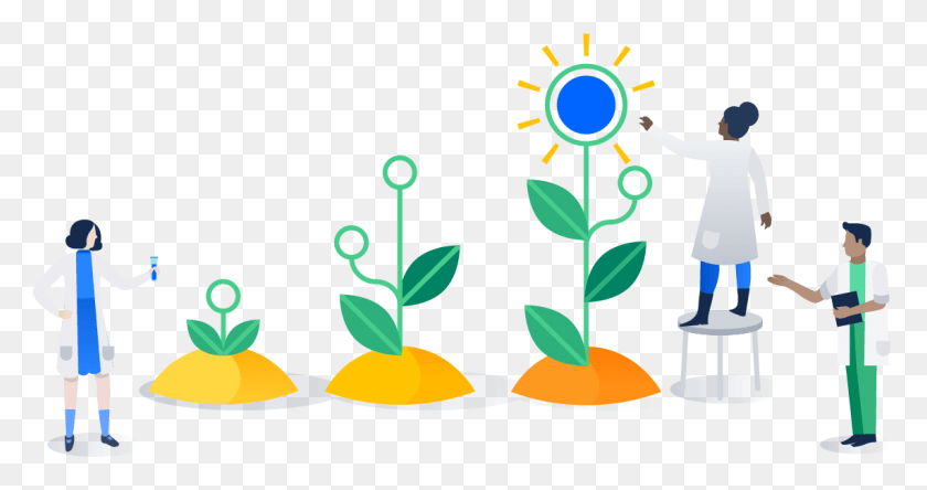 1140x562 Growing Plants, Plant, Person, Human HD PNG Download