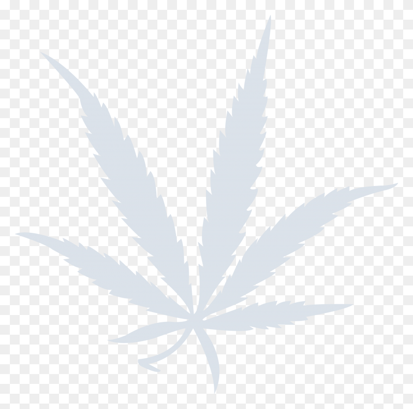 2760x2730 Grown With Love Cannabis, Leaf, Plant, Weed HD PNG Download