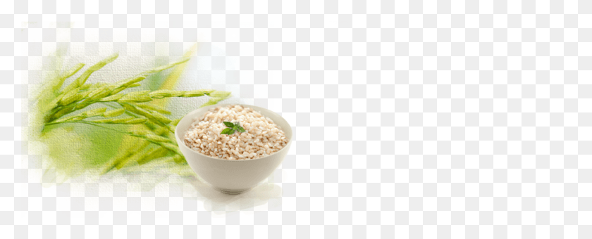 960x345 Gruel, Plant, Vegetable, Food HD PNG Download