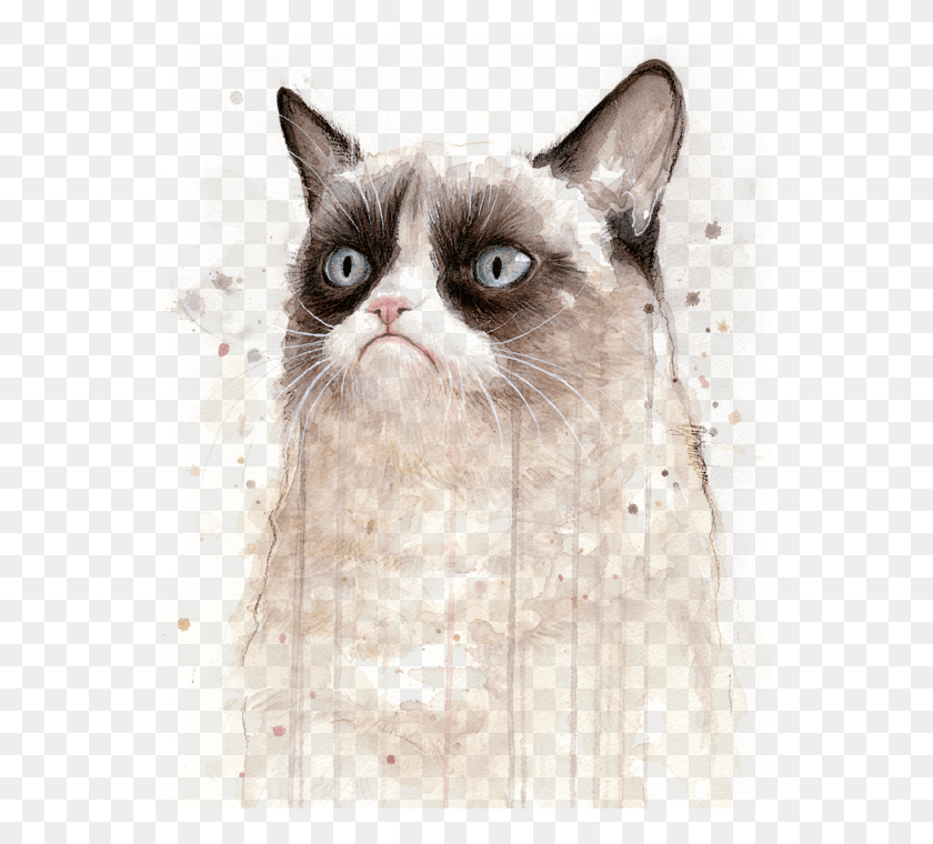 550x700 Grumpy Cat Watercolor Grumpy Cat Art, Cat, Pet, Mammal HD PNG Download