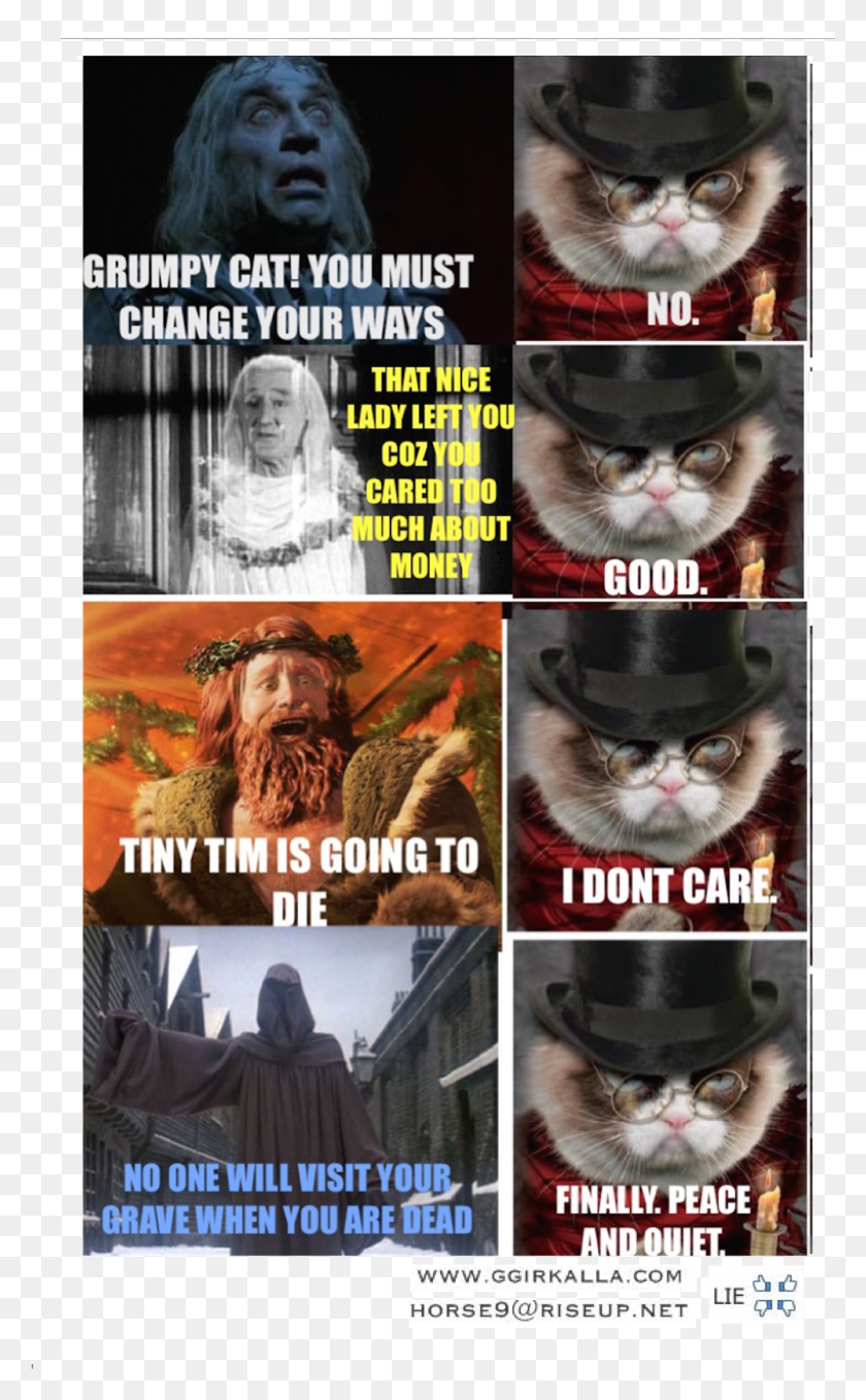 1000x1666 Grumpy Cat You Must Change Your Ways No That Nice Lady Grumpy Cat Car Meme, Collage, Poster, Advertisement HD PNG Download
