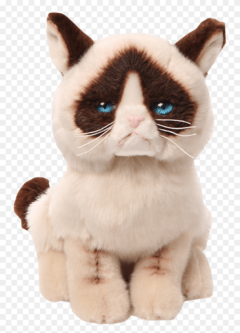 752x1106 Grumpy Grumpy Cat Gund, Котенок, Кошка, Домашнее Животное Hd Png Скачать