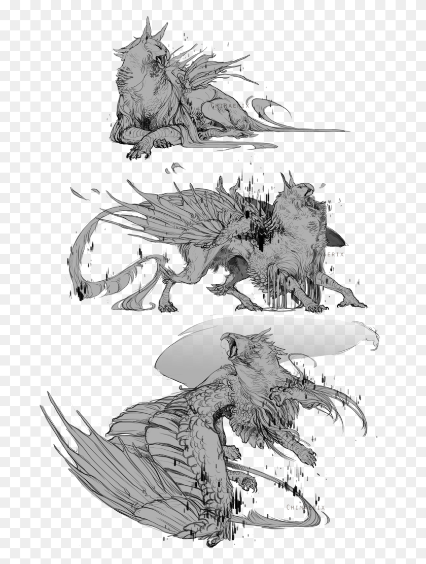 688x1051 Gryphon Sketches For Sharkfu By Tawnwen Illustration, Dragon, Chicken, Poultry HD PNG Download