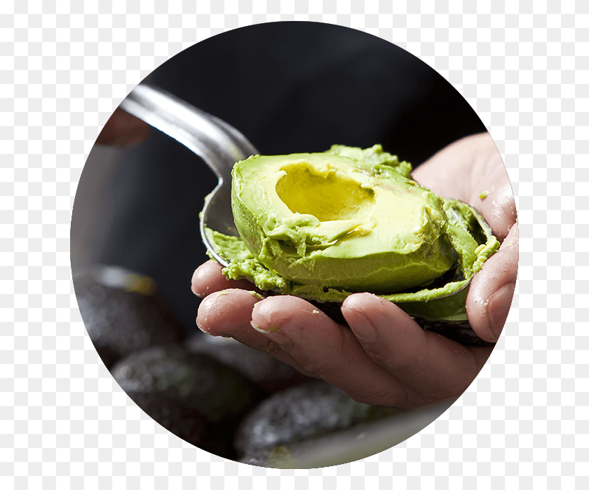 640x640 Guacamole Brussels Sprout, Plant, Avocado, Fruit HD PNG Download