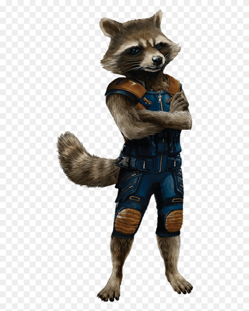 466x986 Guardians Of The Galaxy 2 Rocket Raccoon Costume, Clothing, Apparel, Person HD PNG Download