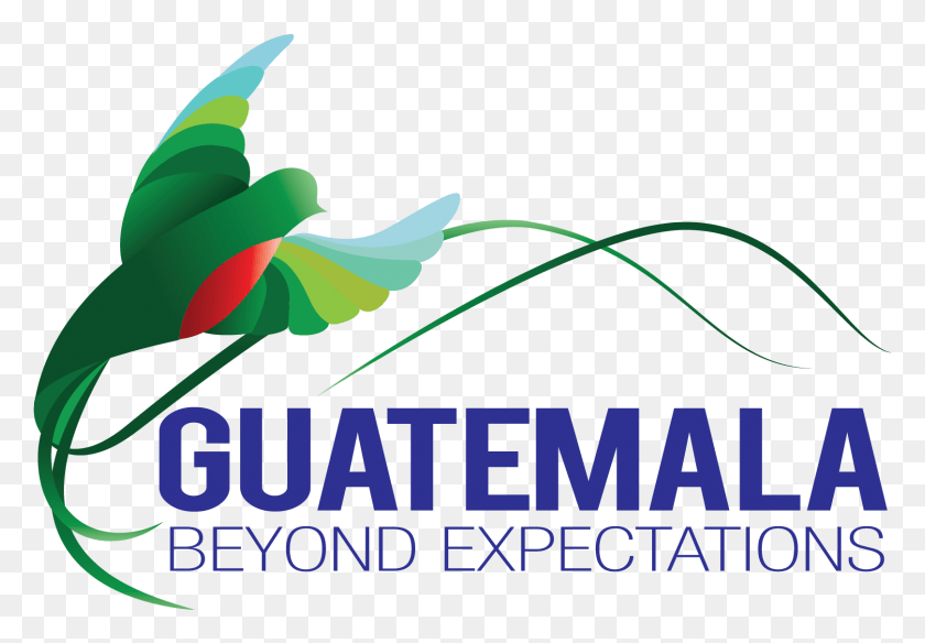 1618x1088 Гватемала Гватемала Логотип, Растение, Лист, Текст Hd Png Скачать