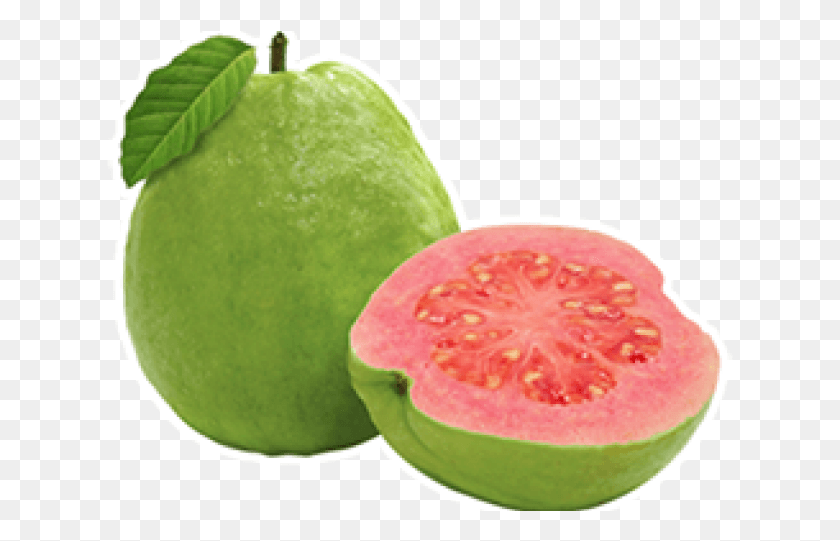 627x481 Guava Common Guava, Tennis Ball, Tennis, Ball HD PNG Download