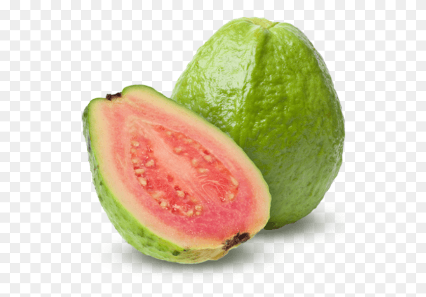 523x527 Guava Fruits, Plant, Fruit, Food HD PNG Download