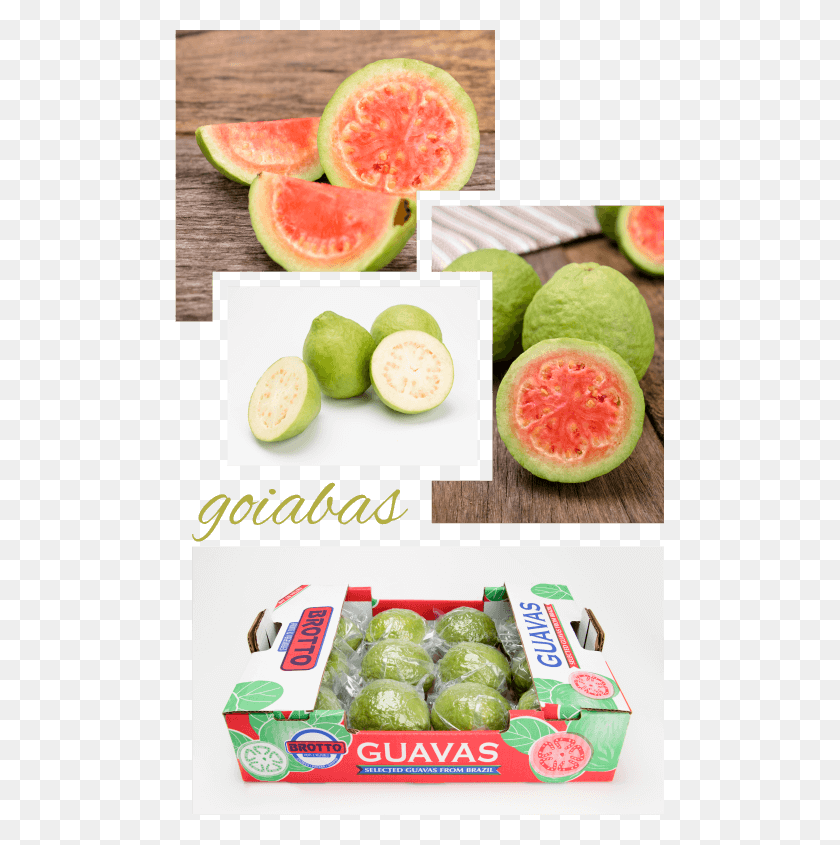 490x785 Las Guayabas Tienen Piel Verde Y Semillas Pequeñas En Su Diseño De Pulpa, Planta, Fruta, Alimentos Hd Png
