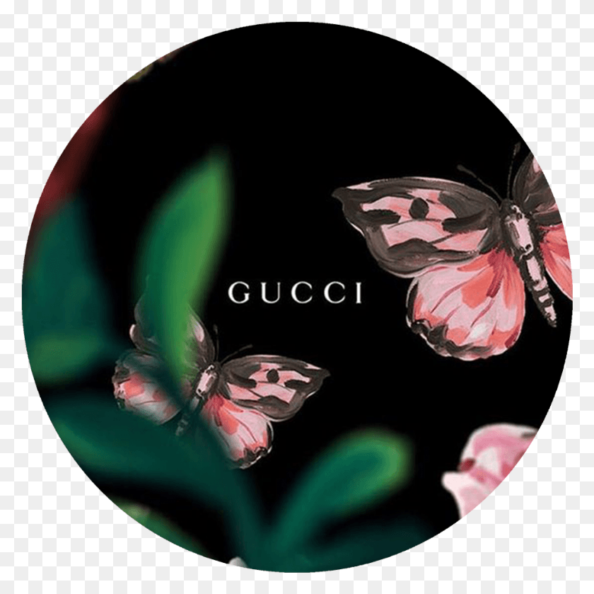 951x951 Gucci Pop Grip, Graphics, Insect HD PNG Download