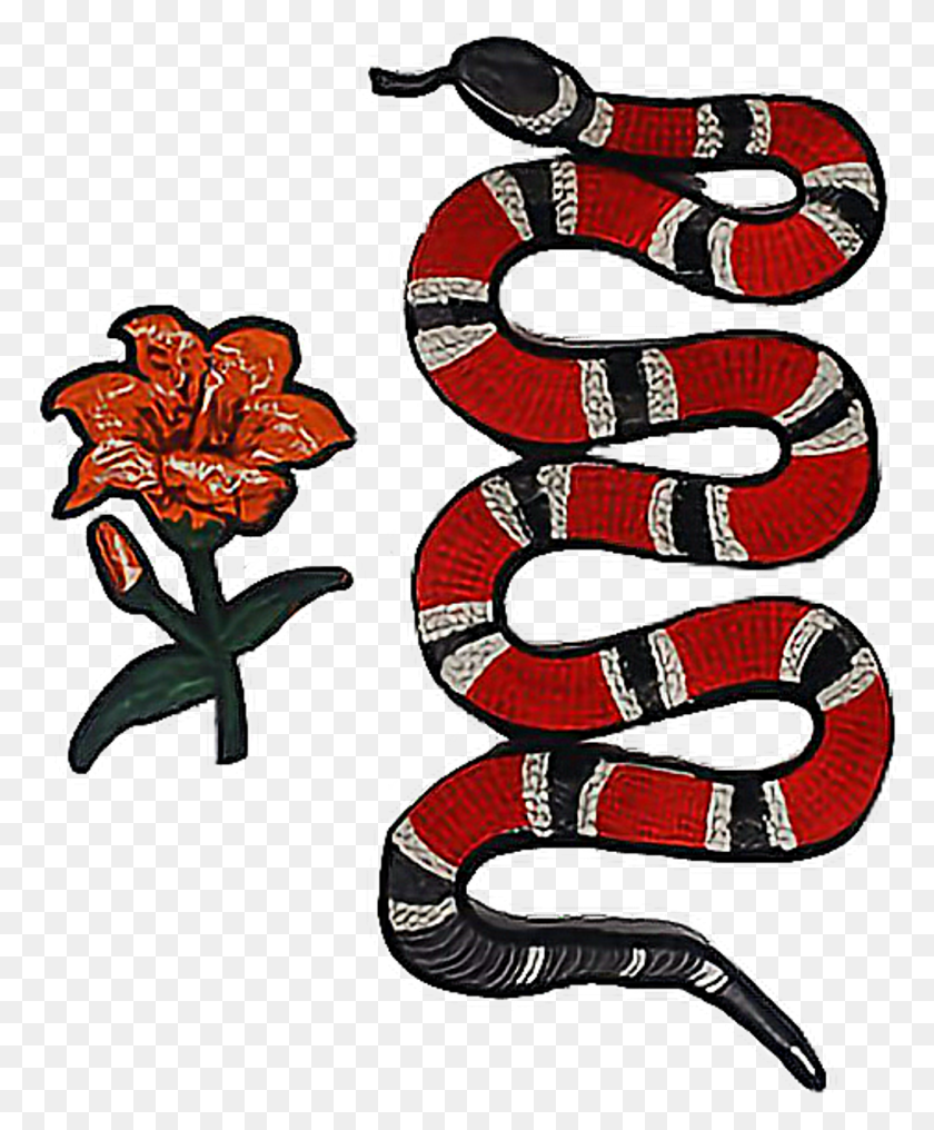 1024x1256 Gucci Ricegum Clout Cloutgang Змея Роза Цветок Gucci Змея Прозрачный Фон, Король Змей, Рептилия, Животное Png Скачать