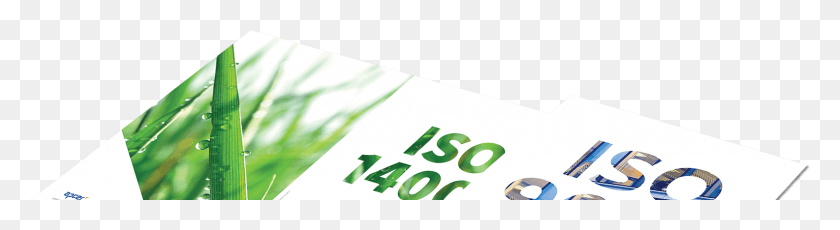 1585x346 Гиас Э Диспонвейс Пара Графический Дизайн, Текст, Алфавит, Растение Hd Png Скачать