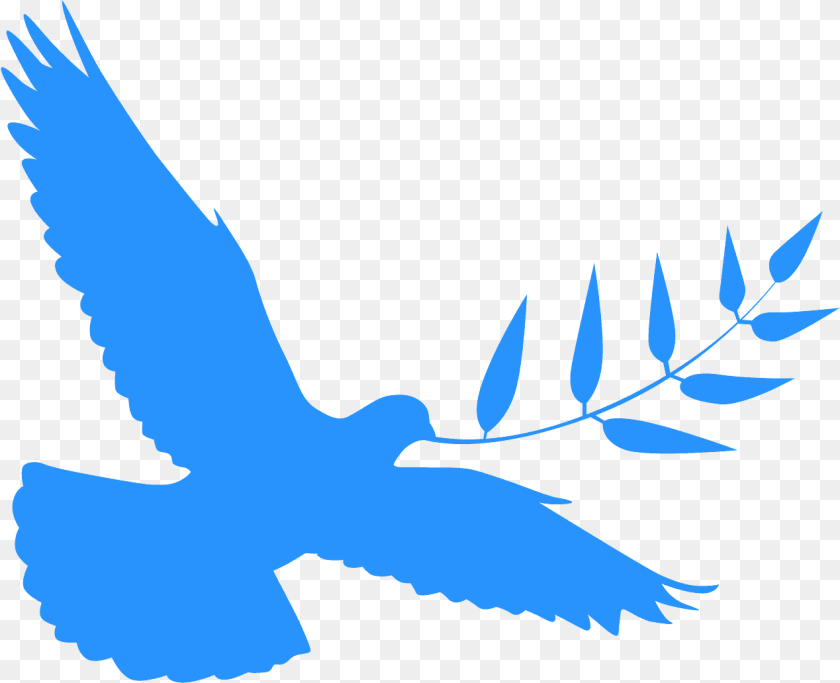 Guide Our Feet Into The Way, Animal, Bird, Pigeon, Dove PNG