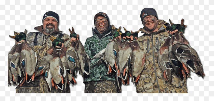 900x391 Guided Duck Huntsshnelson2016 06 05t03 Mallard, Person, Human, Hunting HD PNG Download