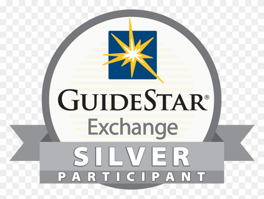 900x660 Guidestar Echange Silver Seal Of Participation Guidestar Silver Participant, Symbol, Text, Advertisement HD PNG Download