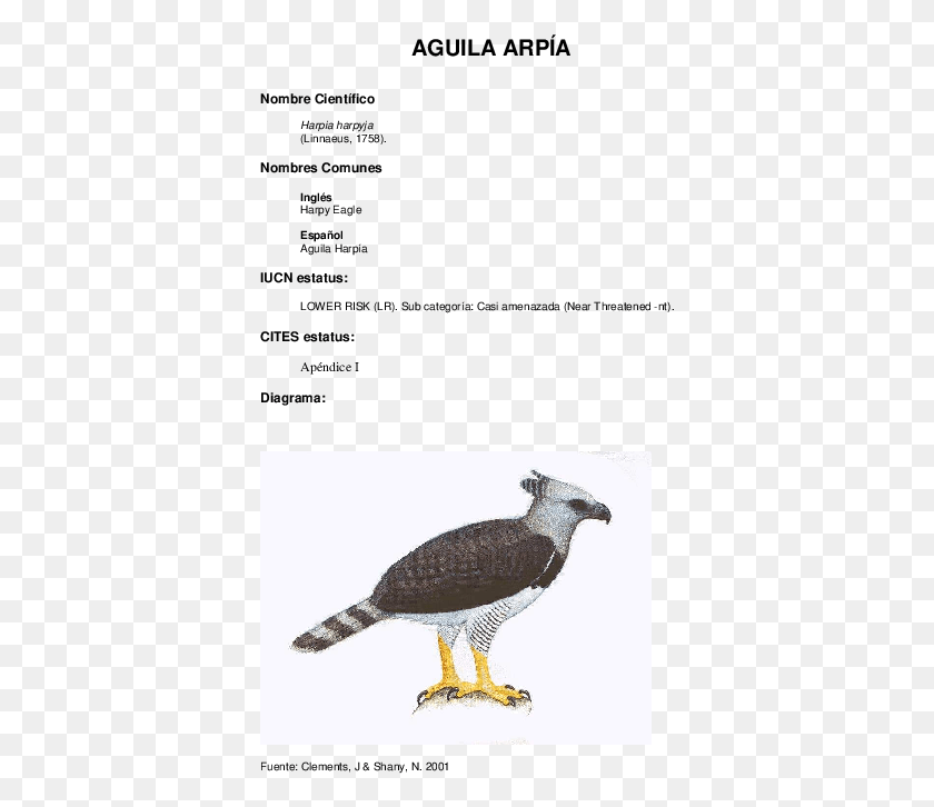 373x666 Guila Vuela Muy Ave Animales Guila Vuela Bald Eagle, Bird, Animal, Beak HD PNG Download