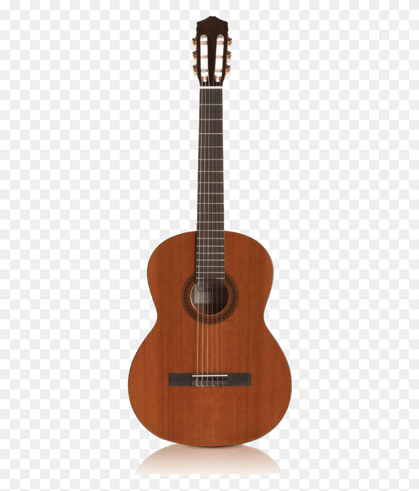 332x924 Descargar Png Guitar Image Cordoba, Actividades De Ocio, Instrumento Musical, Bajo Hd Png