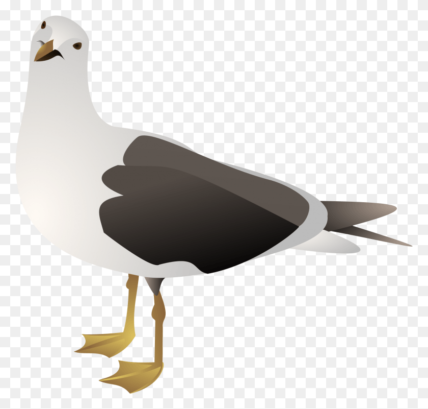 1634x1553 Gulls Clipart Seagull Clip Art, Lamp, Bird, Animal HD PNG Download