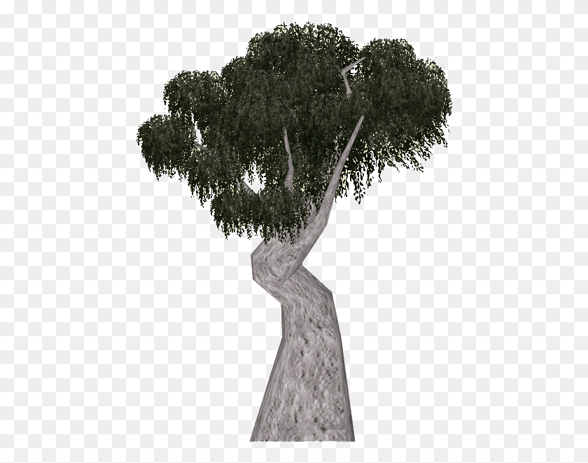 452x601 Резина Дерево Снег Резинка Дерево, Растение, Растительность, Природа Hd Png Скачать