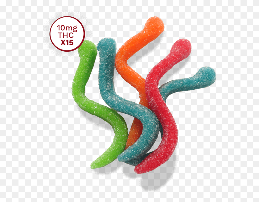 564x593 Gummy Candy Serpent, Reptile, Animal, Snake HD PNG Download
