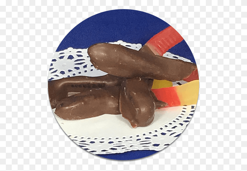 521x522 Gusanos De Gominola De Chocolate, Postre, Alimentos, Fudge Hd Png