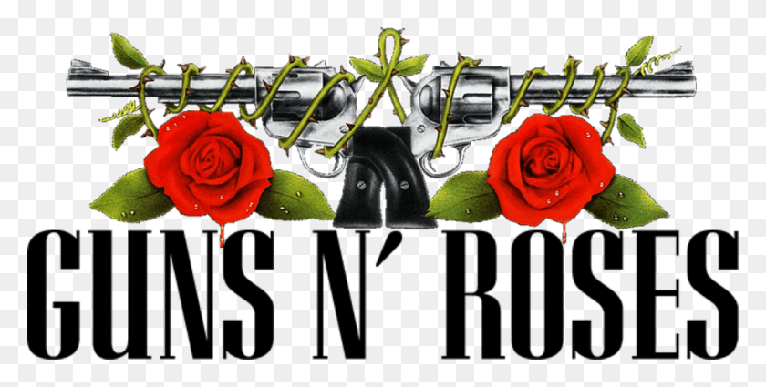 1078x505 Guns N Roses Freddie Mercury Tribute Concierto Guitarrista Guns N Roses Vector, Rose, Flor, Planta Hd Png Descargar