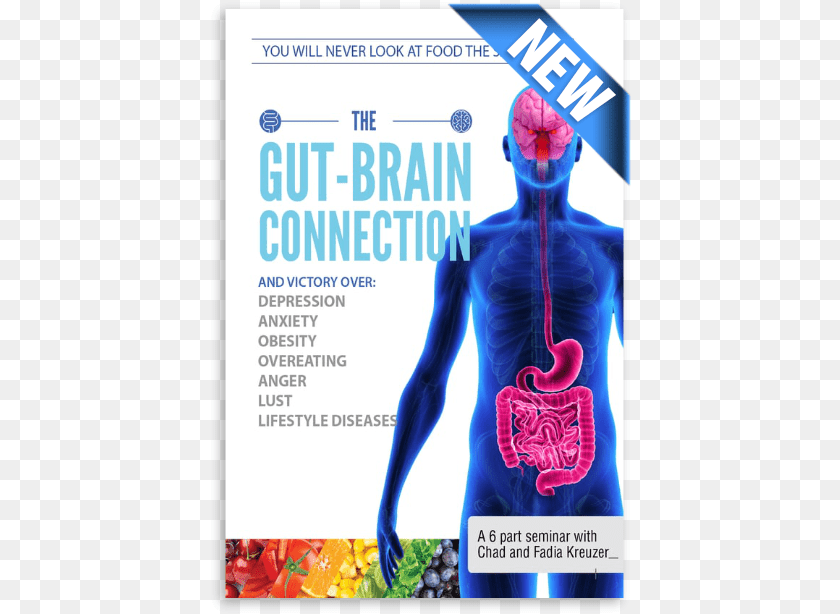 424x614 Gut Brain Connection, Advertisement, Poster, Adult, Female PNG