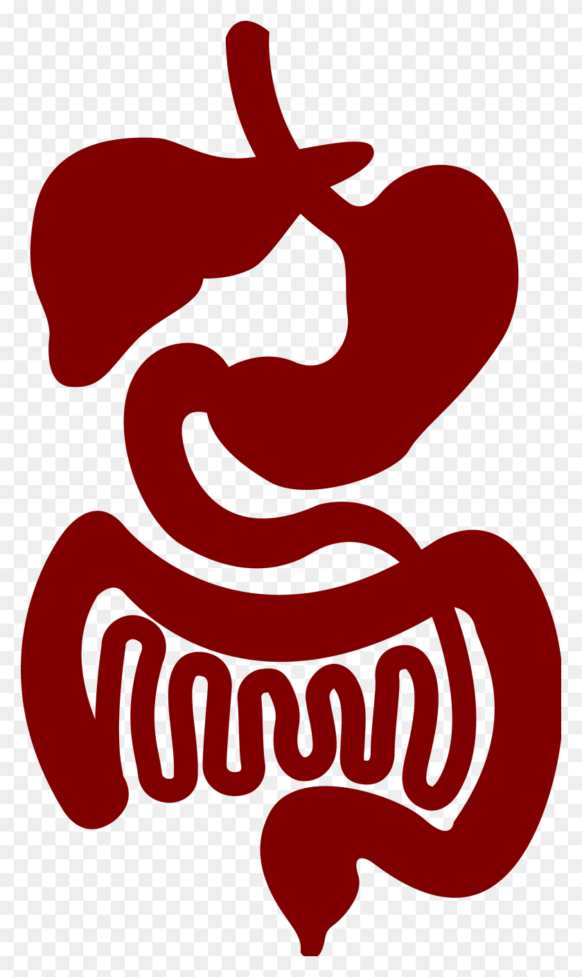 2000x3462 Gut Gastrointestinal Logo, Text, Alphabet, Heart Descargar Hd Png