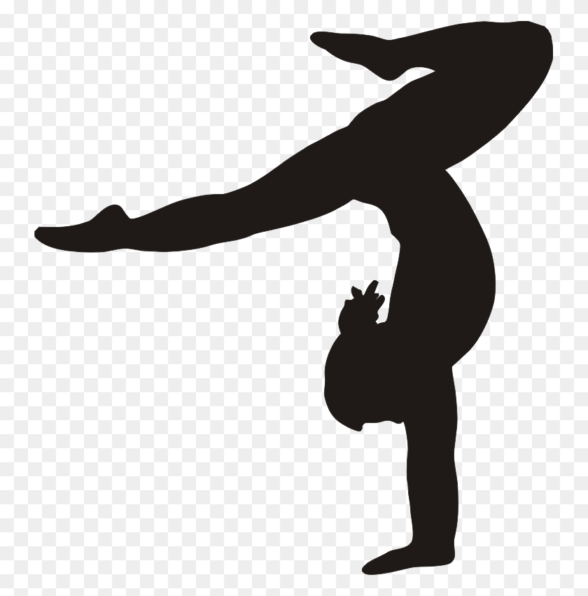 741x791 Gymnastics Photo Gymnastics, Person, Human HD PNG Download